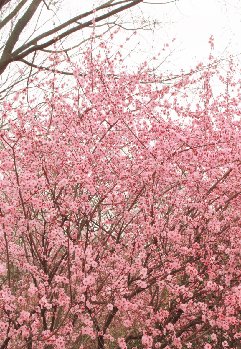 微信图片_20230309221323.jpg 图片