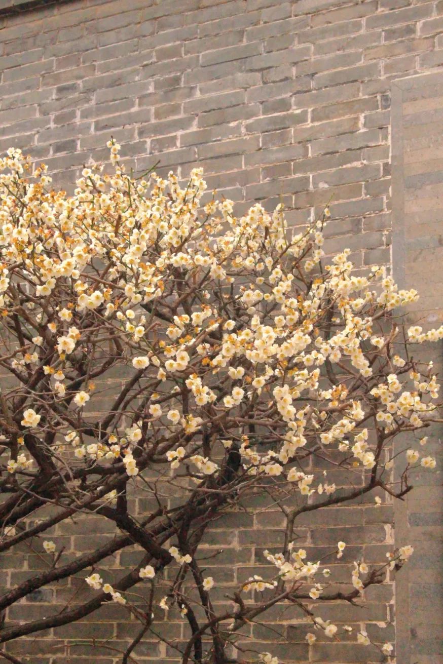 微信图片_20230309212922.jpg 图片