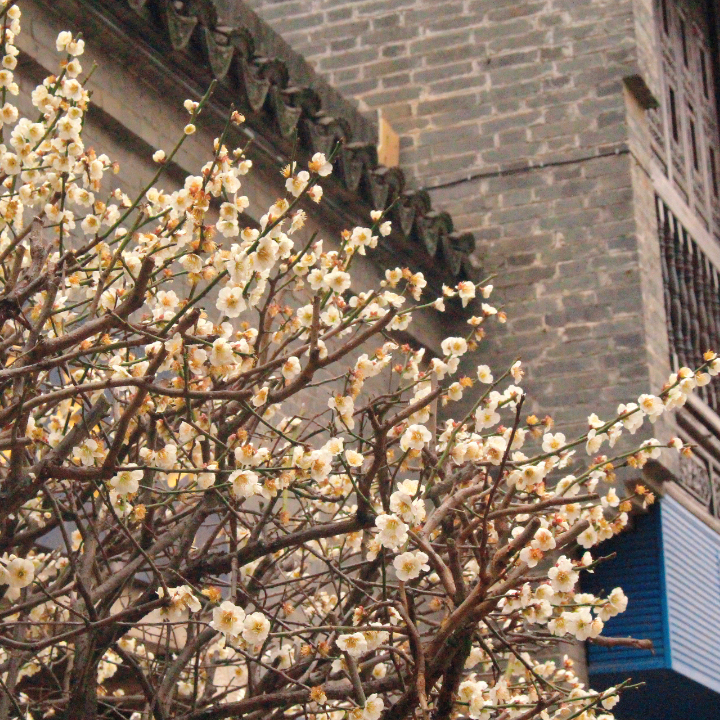 微信图片_20230309212915.jpg 图片