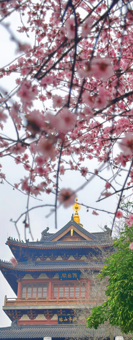 微信图片_20230309220500.jpg 图片