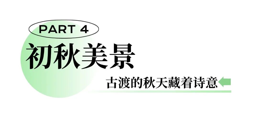 简约地产旅游酒店序号标题公众号文章标题 (5).jpg
