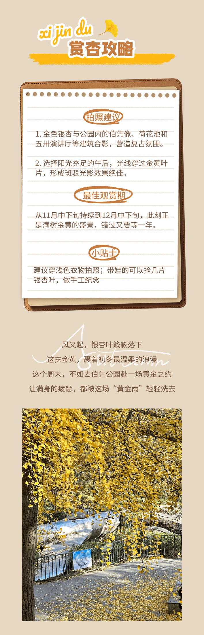 京城捡秋指南2 (5).png