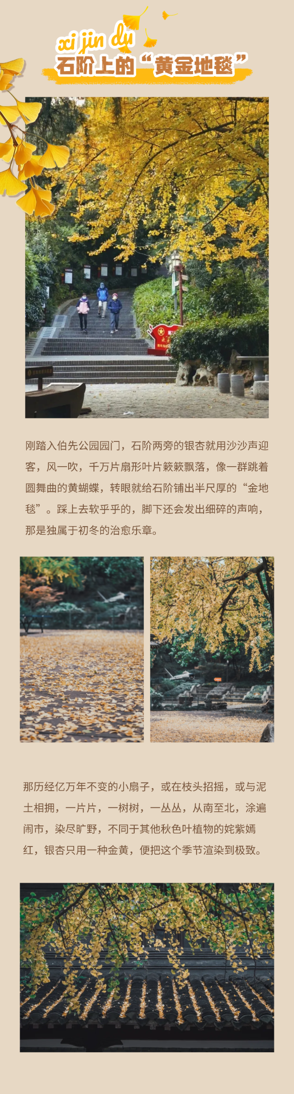 京城捡秋指南2 (2).png