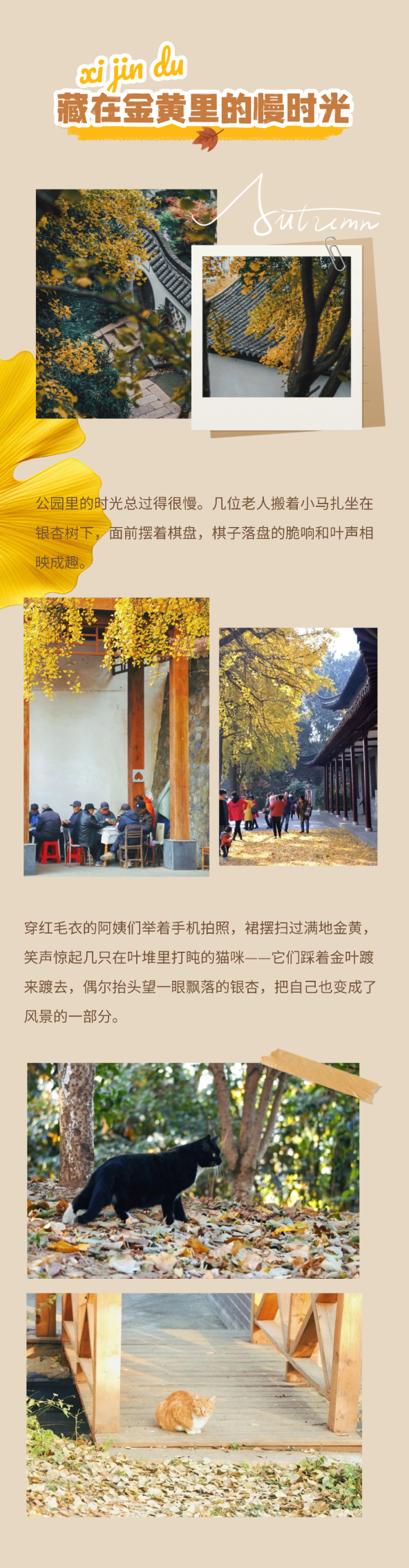 京城捡秋指南2 (4).png